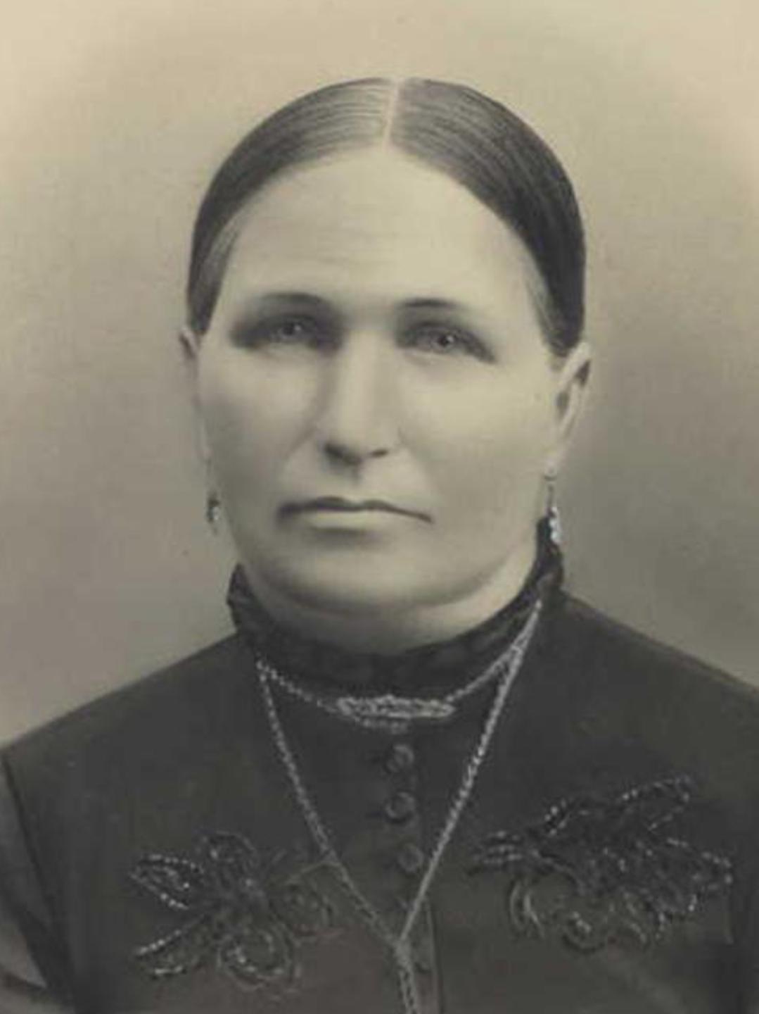 Agnes Hood Hill (1845 - 1920) Profile